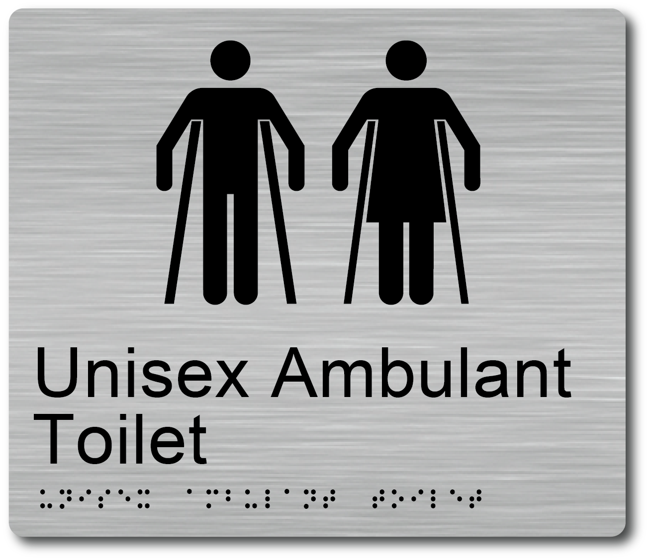 Unisex Ambulant Toilet